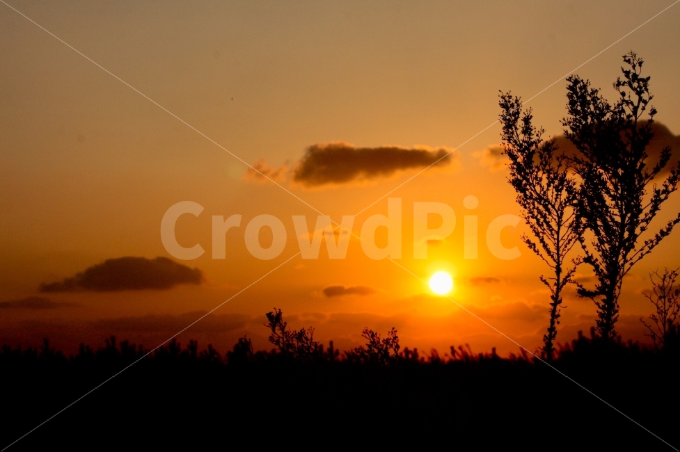 낙조,일몰,석양,서해,바다,구름,가을,자연,풍경,nature,landscape,실루엣,그림자,silhouette,shadow,sunlight,햇빛,outdoors,옥외,sunset,dawn,새벽,red sky,붉은 하늘,sky,하늘,dusk,황혼