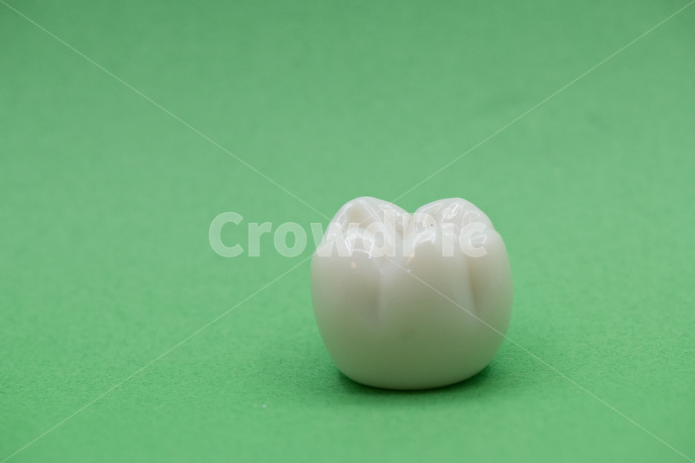 Detention,dental,Dentist,molars,teeth,tooth,molar