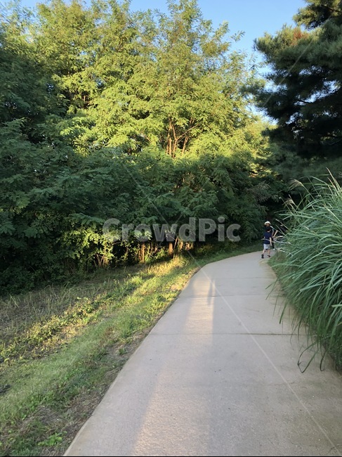 올림픽공원,올림픽,공원,가을,하늘,sky,park,나무,tree,blue,green,자연,풍경,nature,landscape,plant,식물