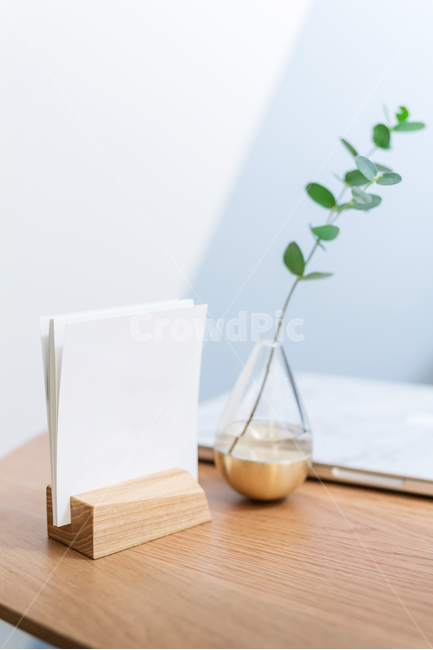 실내화초,모던,디자인,종이,소품,인테리어,연출,테이블,table,실내용화초,화분,화초,house plant,인테리어,실내디자인,interior design