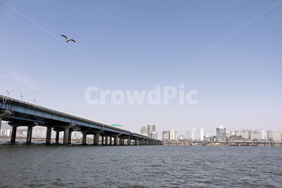 한강,마포대교,갈매기,새,풍경,강물,river,다리,landmark,landscape,하늘,맑음,blue,sky,푸르름,도시,풍경,city,landscape,leisure activities,레저 활동,adventure,모험,animal,동물,bird