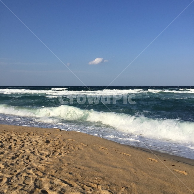 바다,모래사장,파도,강원도,동해,해변,자연,풍경,nature,landscape,해변,바다,beach,sea,outdoors,옥외,ocean,대양,water,물,shoreline,해안선