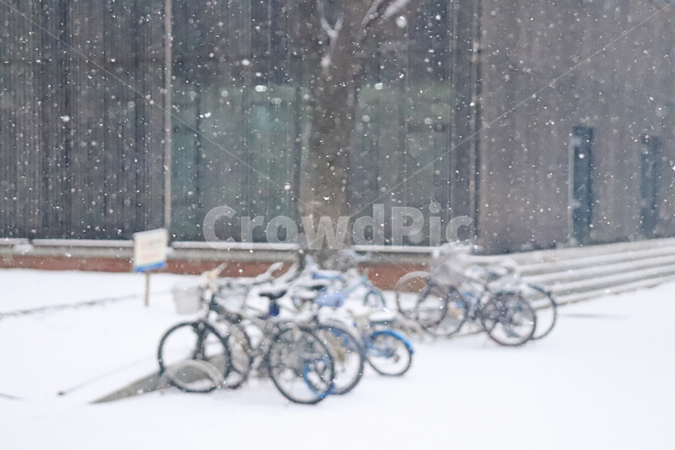 눈,공원,함박눈,겨울,감성,nature,자연,machine,기계,wheel,바퀴,outdoors,옥외,bike,자전거,transportation,교통,bicycle,vehicle,차량