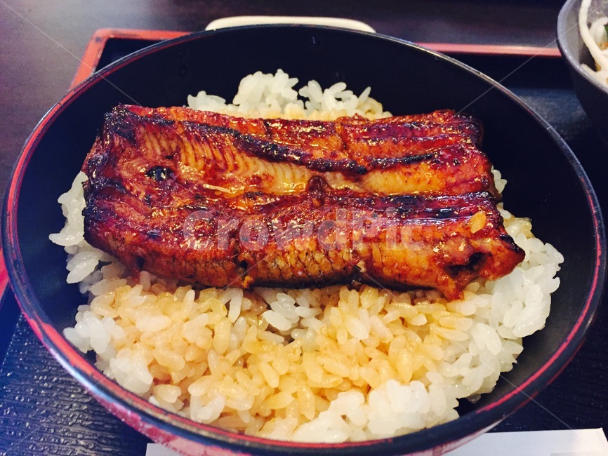 일본,japan,장어덮밥,아나고동,장어,민물장어,밥,rice,일식,일본음식