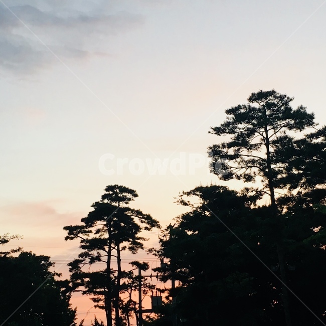 나무,노을,해넘이,자연,풍경,하늘,자연,풍경,nature,landscape,silhouette,실루엣,outdoors,옥외