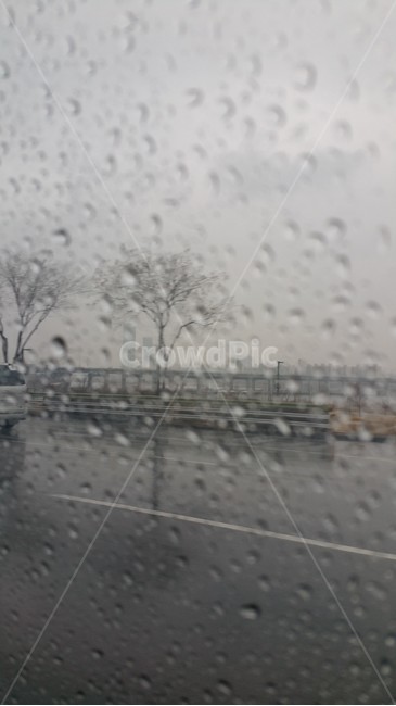 비,rain,겨울비,빗방울,비오는날,감성,감성사진,창가,도로,나무,나뭇가지,tree,난간,자연,nature,옥외,outdoors,비,비오는날,rain,rainy