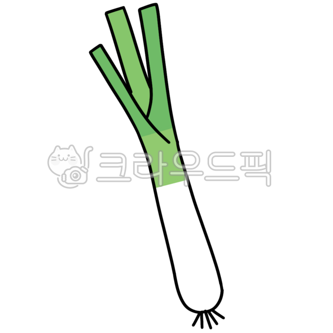 파, 채소, 야채, 야채파, 파일러스트, 사진,이미지,일러스트,캘리그라피 - yunbeli0428작가