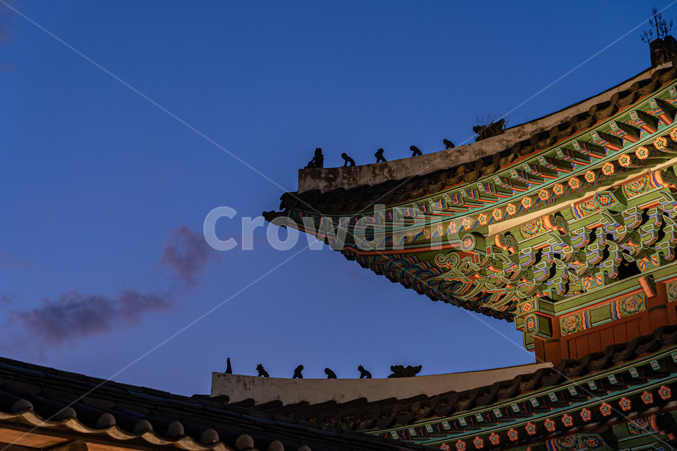 창경궁,야경,고궁,전통,palace,야경,밤,풍경,nightscape,night,landscape,한국전통,한국문화,korean traditional,korean culture,건축물,건물외관,exterior,building,structure,architecture,construction,pagoda,탑,shrine,신사,건물,worship,예배