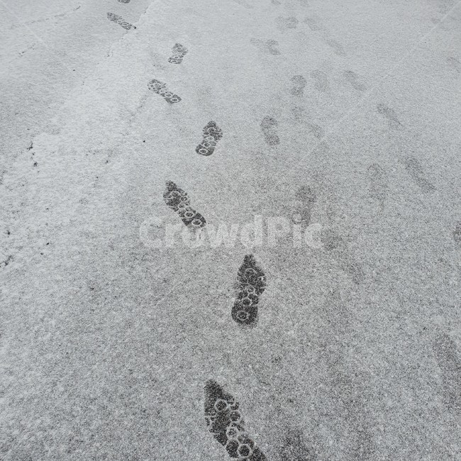 눈,snow,발자국,겨울,winter,도로,겨울,계절,winter,season