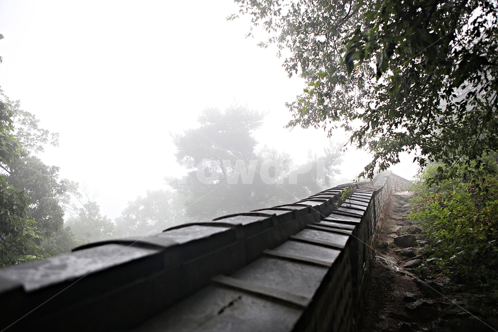 forest,Dullegil,castle,road,stonewall,Namhansanseong Fortress,forest road,wall,Fog