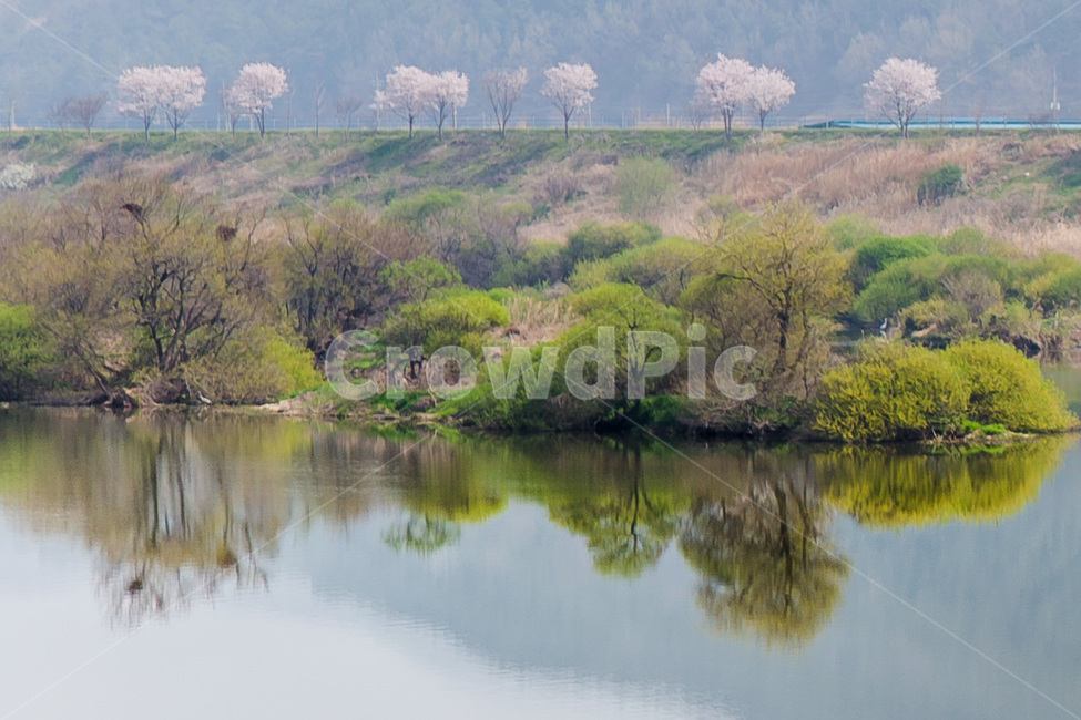 반영,봄,nature,자연,water,물,outdoors,옥외,land,땅,강,풍경,한국자연경관,나무,아름다운,섬진강,봄,계절,spring,season,자연,풍경,nature,landscape