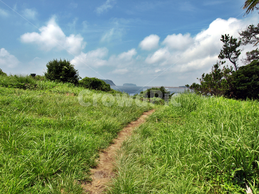올레6코스,올레길,제주,서귀포시,전원,푸른하늘,흰구름,자연,자연,풍경,nature,landscape,grassland,목초지,field,들,outdoors,옥외