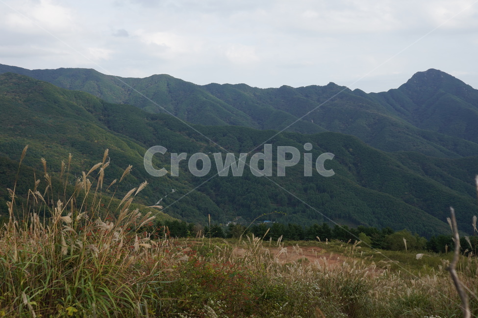 풍경,하늘,구름,자연,nature,cloud,grass,잔디,plant,식물,자연,풍경,nature,landscape
