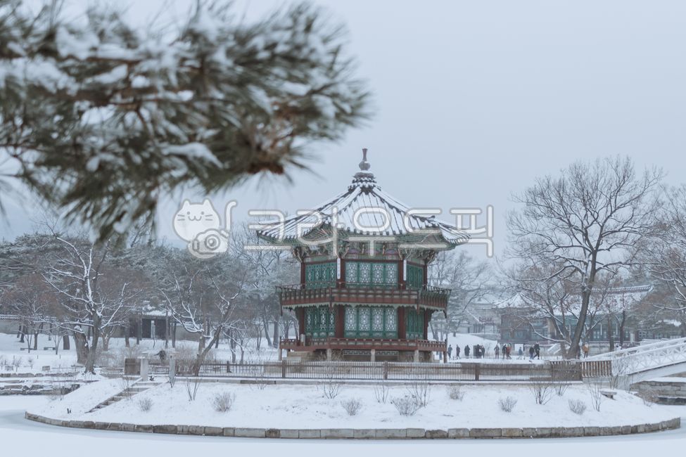 경복궁,palace,궁,heritage,궁궐,한국전통,향원정,정자,취향교,tree,눈,설경,white,snow,winter,겨울,소나무