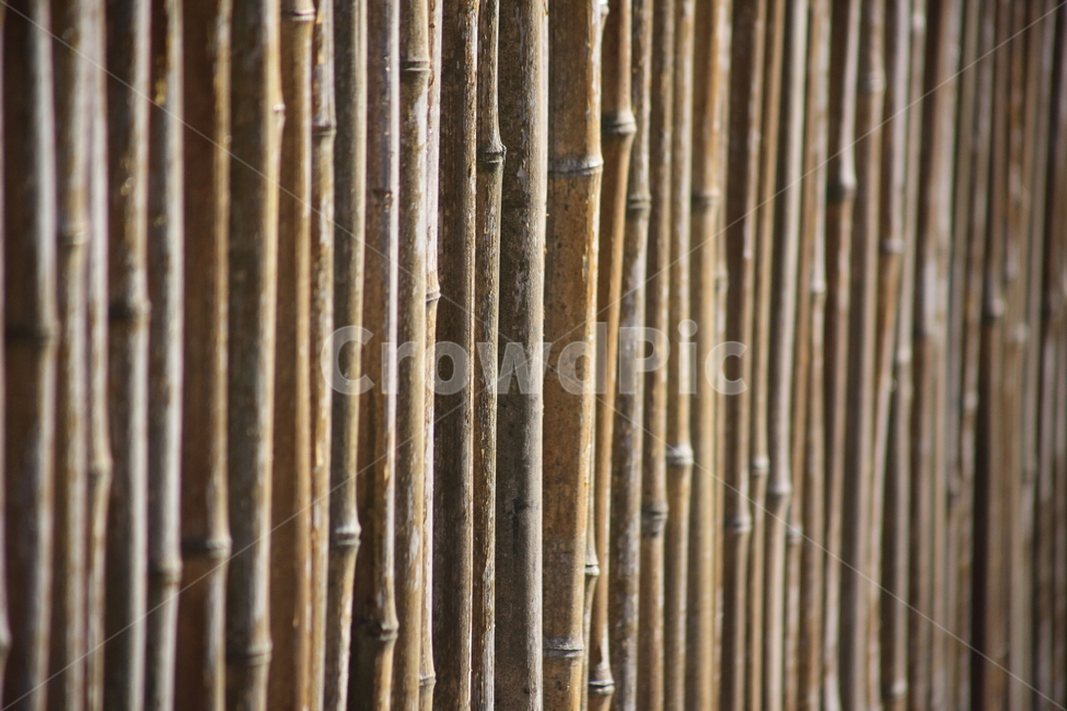 가림막,벽,장식,대나무,bamboo,나무,trees,wood