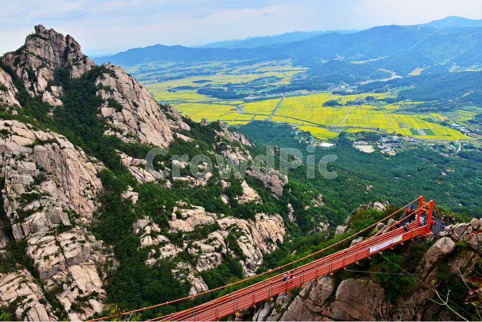 outdoors,옥외,scenery,풍경,nature,자연,landscape,경치,cliff,낭떠러지,영암,월출산,영암들녁,농업,농사,농경지,구름다리,출렁다리,자연,풍경,nature,landscape