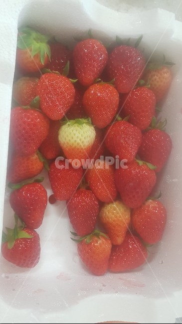 food,음식,fruit,과일,strawberry,딸기
