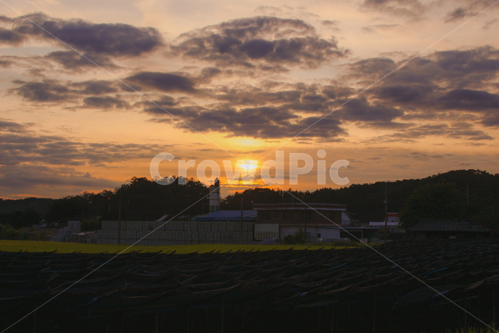 노을,감성,해,일몰,자연,outdoors,옥외,nature,sun,sunset,시골,마을,풍경,landscape,country,rural,town