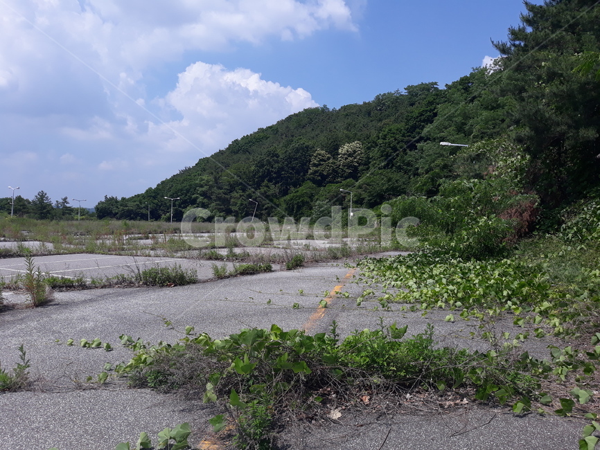 road,도로,nature,자연,옥외,outdoors,숲,forest,하늘,sky,old,낡은,오래된,잡초,weed,grass