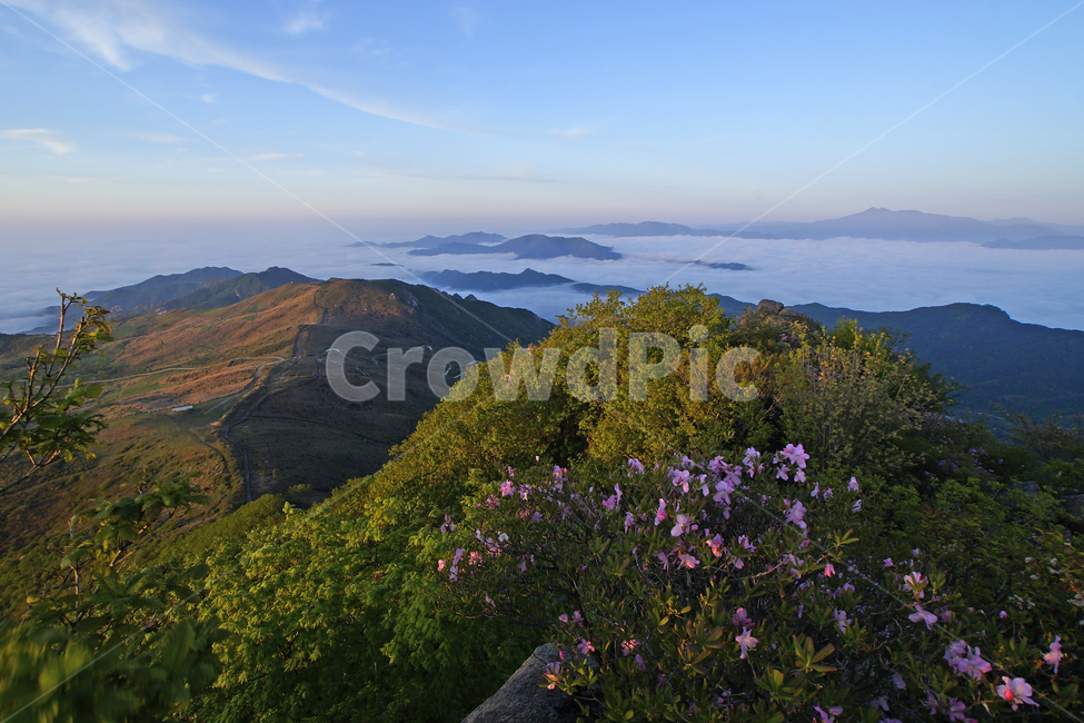 황매산,합천군,철쭉,풍경,산,자연,풍경,nature,landscape,outdoors,옥외