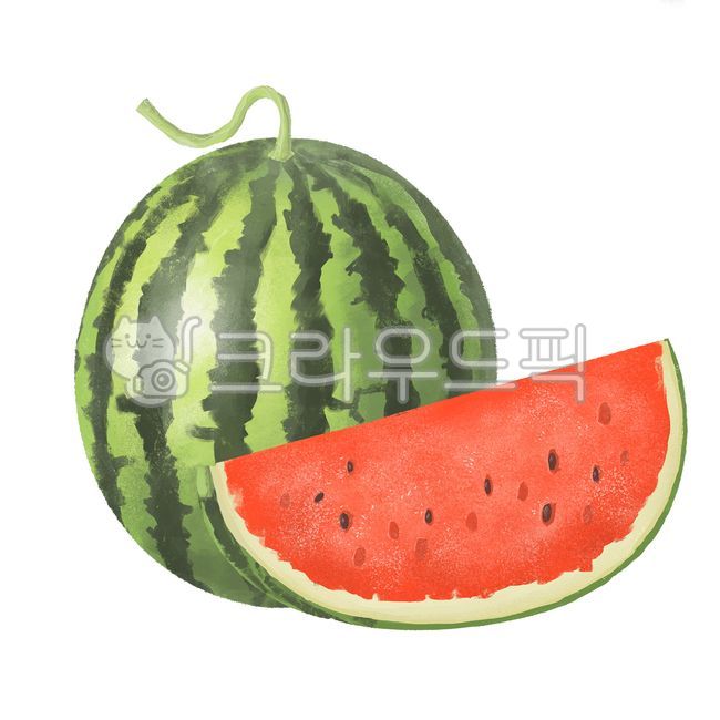 fruit illustration,summerfruit,summer fruit,fruit,food,summer,watermelonillust,plant,cool fruit,illustration,watermelon,watermelon illustration,illust