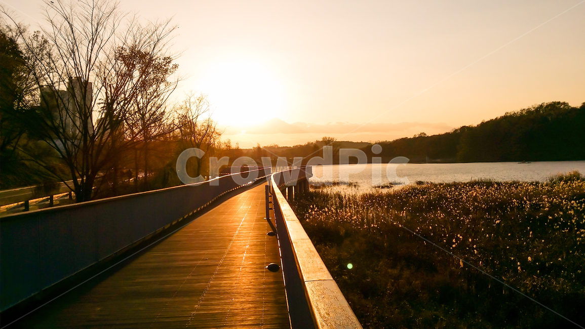 boardwalk,산책로,building,건물,다리,lake,호수,자연,풍경,nature,landscape