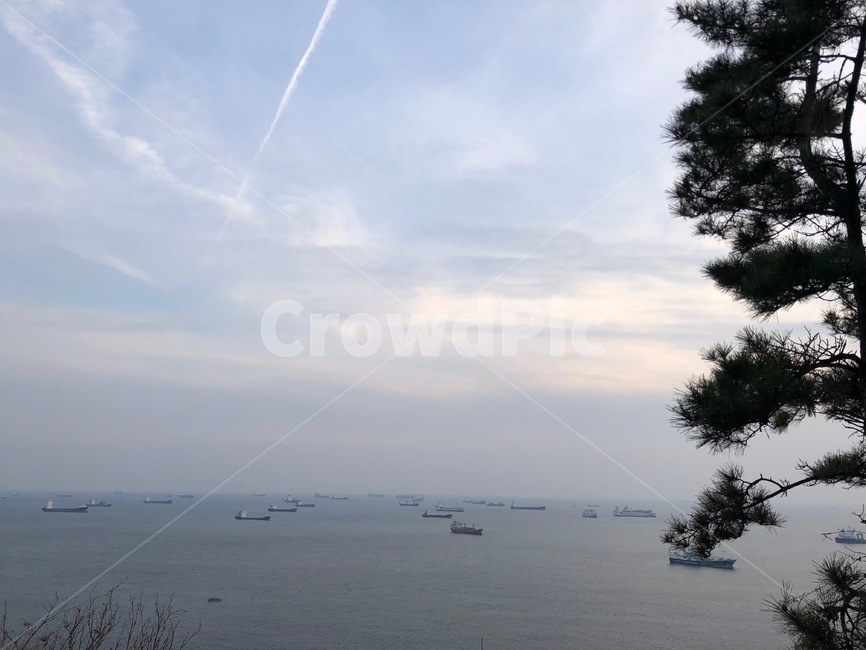 바다,나무,하늘,배,푸름,파랑색,하늘색,blue,sky,nature,자연,수평선