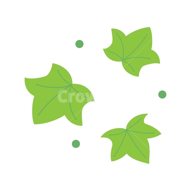 아이비,잎,식물,자연,초록,나뭇잎,여름,봄,일러스트,illustration,ivy,vector,design,plant,nature,leaf,green,그래픽,일러스트레이션,graphic,illustration