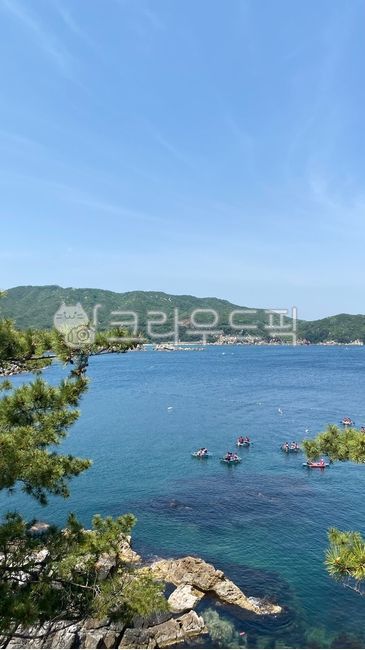 nature,자연,바다,낭만,여름
