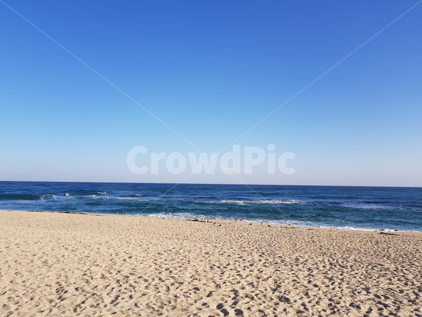 바다,동해,해변,시원함,자연,자연,풍경,nature,landscape,해변,바다,beach,sea,ocean,대양,outdoors,옥외,water,물,shoreline,해안선