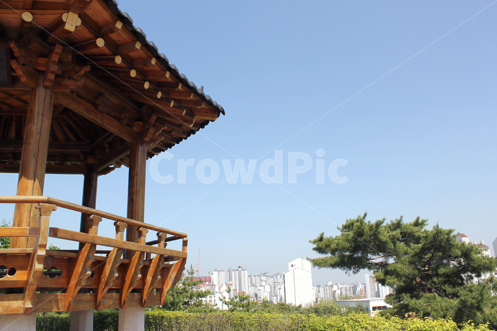 한국,대한민국,아시아,전통,휴식,정자,나무,식물,자연,아파트,도시,도심,하늘,파랑,파란색,블루,녹색,그린,우드,우든,나무기둥,기둥,갈색,브라운,공원,조경,정원,난간,나무난간,천장,천정,나무지붕,한국전통,한국문화,korean traditional,korean culture,건축물,건물외관,exterior,building,structure,architecture,construction