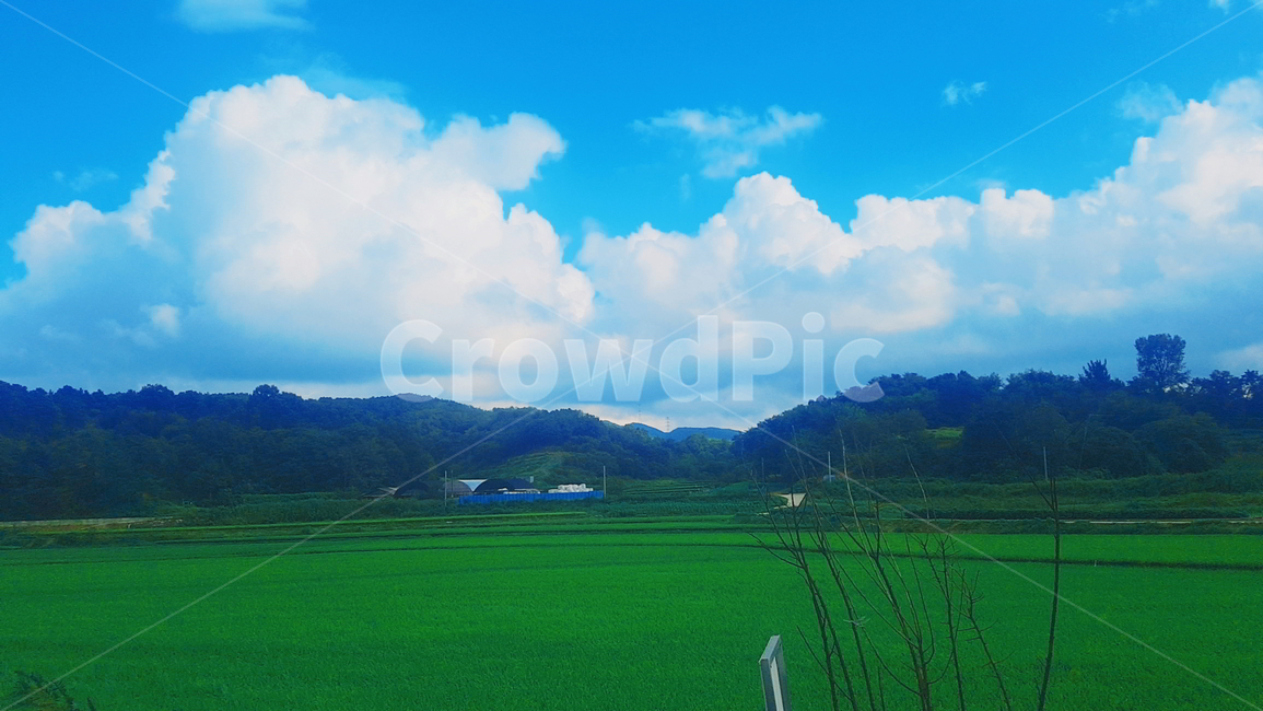 구름,논,풍경,자연,하늘,자연,풍경,nature,landscape,field,들,grassland,목초지,outdoors,옥외,paddy field,패디 필드