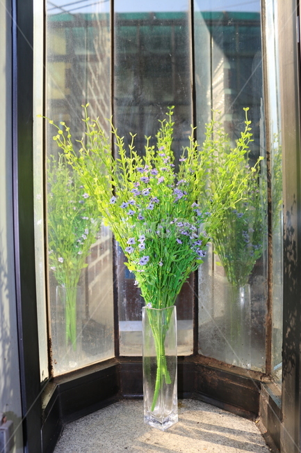 햇살,창문,꽃,flower,sunshine,조화,꽃병,초록,자연,실내용화초,화분,화초,house plant