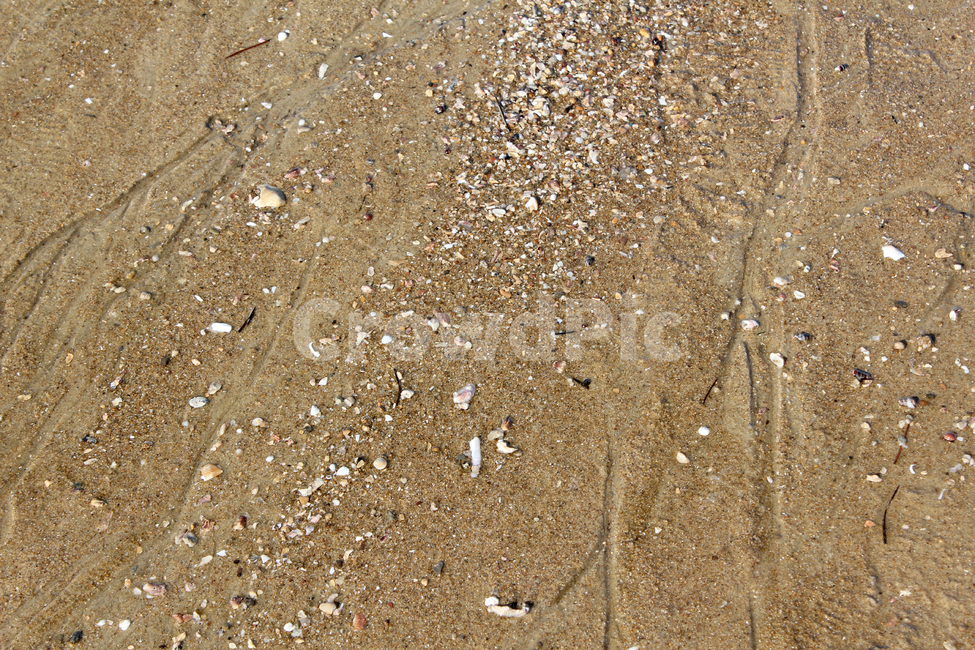 beach,brown,detail,earth,ground,mud,mudflat,nature,sand,soil,waterstreak,바닷가,해안가,갈색,브라운,땅,흙,모래,모래사장,해변,자연,진흙,갯벌,모래밭,탑앵글,탑뷰,해변,바다,beach,sea