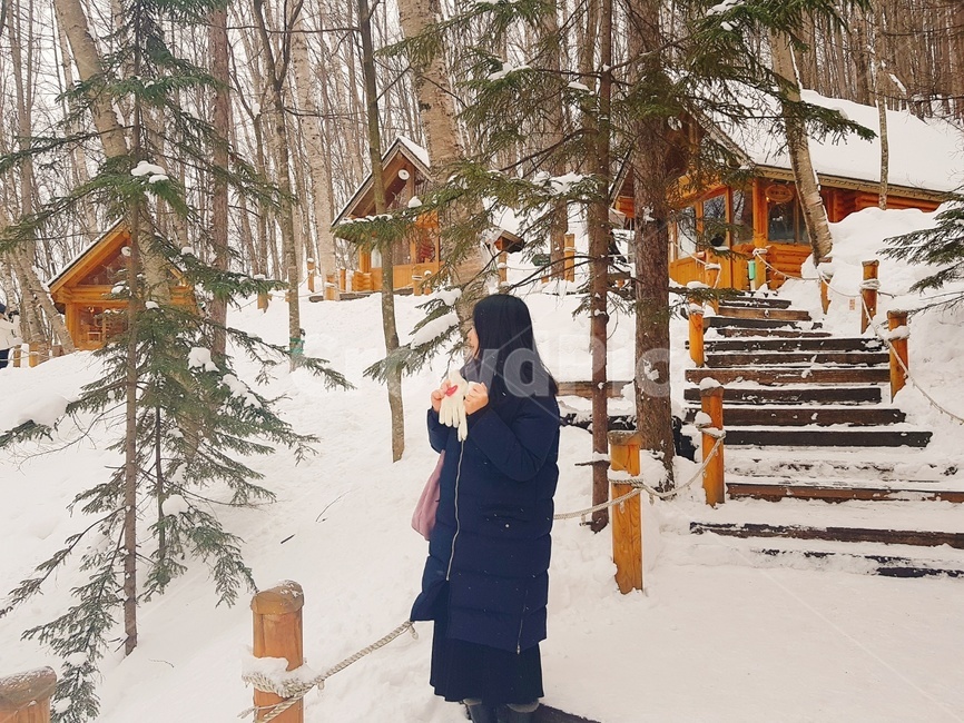 눈,삿포로,비에이투어,크리스마스트리,훗카이도,겨울,겨울,계절,winter,season,해외,외국,세계,foreign,oversea,world,사람,인물,인간,human,person,여성,여자,woman,female,lady