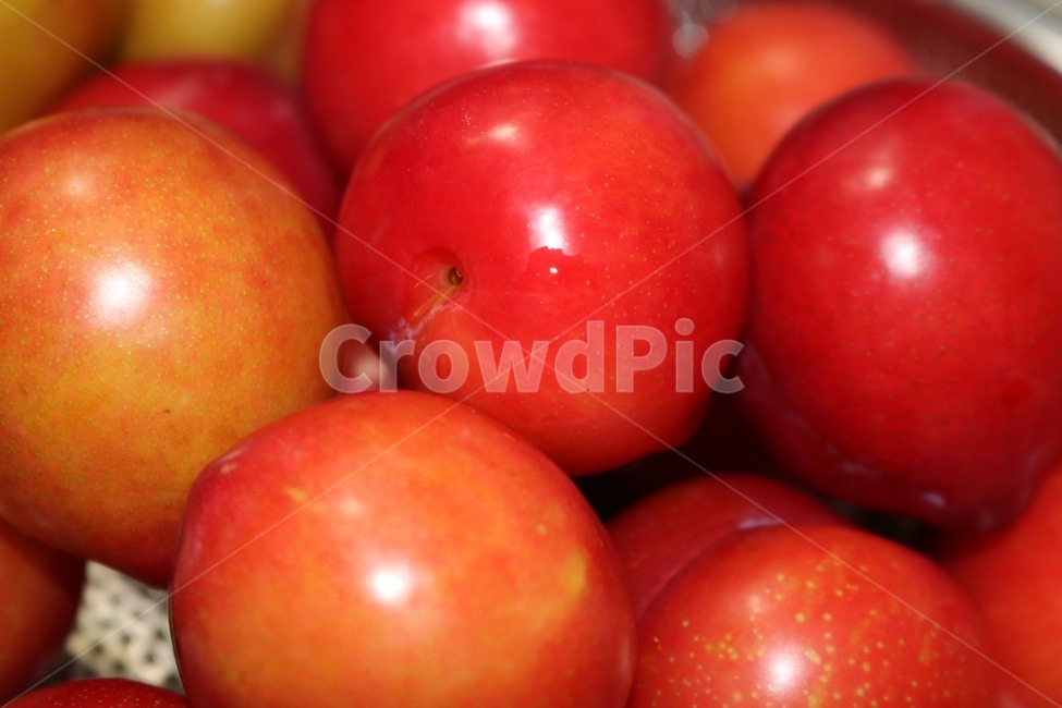 과일,여름,자두,빨강,열매,fruit,summer,plum,red,kudamono,natsu,sumomo,aka,zitsu,과일,열매,fruit