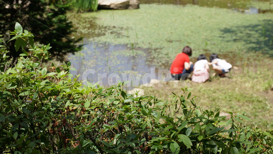 가족,화목함,가정의날,human,가족모임,자연,풍경,nature,landscape