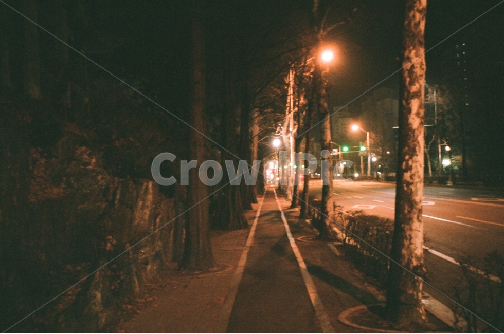 야간,거리,텅빈거리,감성,인도,야경,밤,풍경,nightscape,night,landscape,교통,교통수단,traffic,transportation,path,통로
