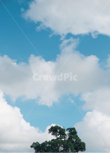하늘,구름,배경화면,풍경,자연,자연,풍경,nature,landscape,outdoors,옥외,azure sky,푸른 하늘,sky