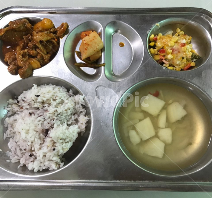 급식,학교,음식,반찬,밥,중식,학생,국