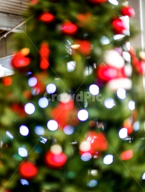 조명,트리,감성,사진,빛,겨울,계절,winter,season,기념일,축하,anniversary,congratulation,celebrate,celebration,메리크리스마스,성탄절,merry christmas