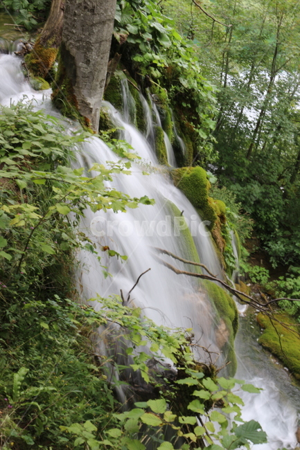 크로아티아,크로아시아,croatia,플리트비체,plitvice,plitvica,국립공원,물,폭포,연못,강,숲,나무,초록,여름,park,nature,waterfall,water,river,pond,green,tree,forest