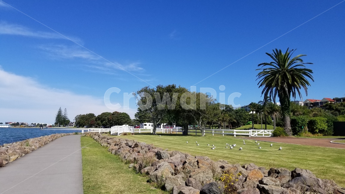 타우랑가,뉴질랜드,tauranga,newzealand,바다,자연,ocean,물,산책로,잔디,야자수
