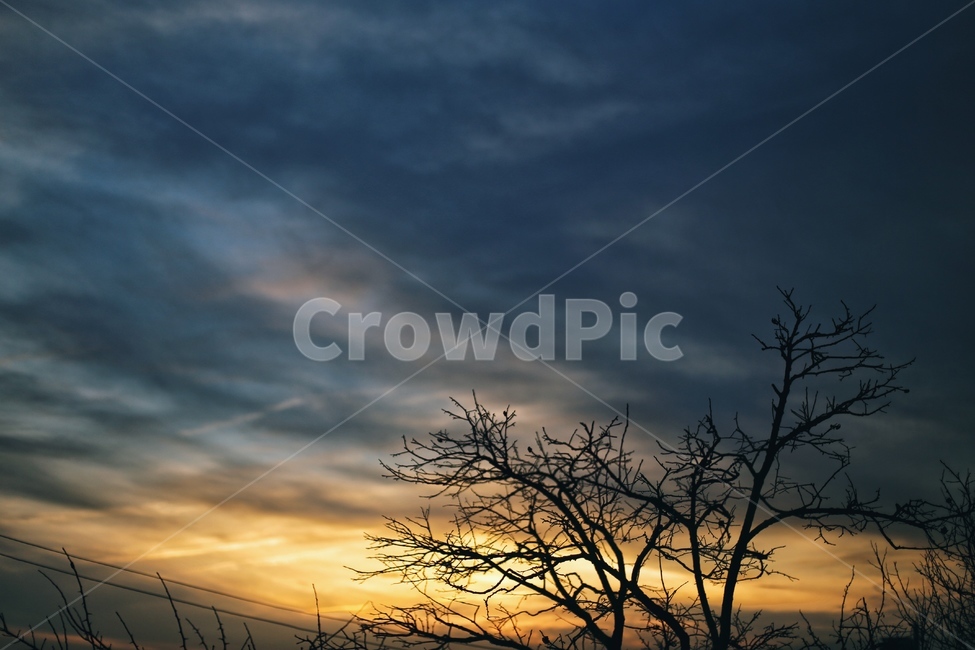 하늘,구름,노을,분위기,감성,황혼,자연,풍경,nature,landscape,식물,plants,나무,trees,wood,outdoors,옥외,sky,dawn,새벽,sunset,일몰,red sky,붉은 하늘,dusk