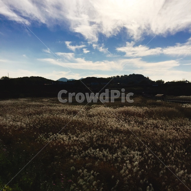 land,자연,outdoors,옥외,nature