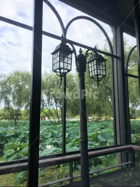 카페,창문,창,인테리어,배경