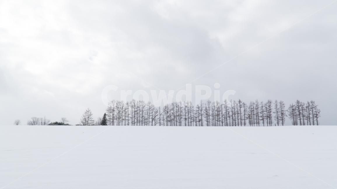 자연풍경,세계,일본,북해도,마일드세븐,japan,비에이,홋카이도,겨울,겨울,계절,winter,season,자연,풍경,nature,landscape,outdoors,옥외