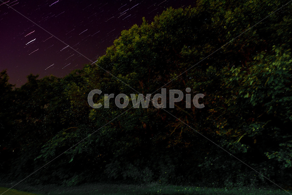 nature,자연,outdoors,옥외,반딧불,야경,밤,풍경,nightscape,night,landscape