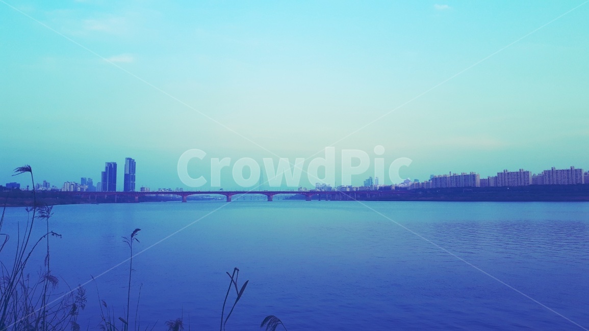 nature,water,물,한강,강변