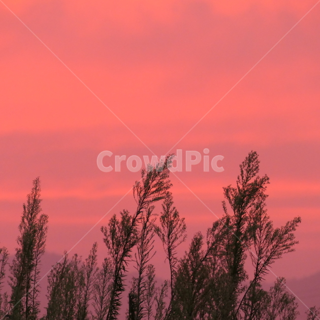 자연,풍경,sunset,붉은하늘,하늘,redsky,일몰,노을,분홍빛,sky,자연,풍경,nature,landscape,outdoors,옥외,dawn,새벽,red sky,붉은 하늘,dusk,황혼